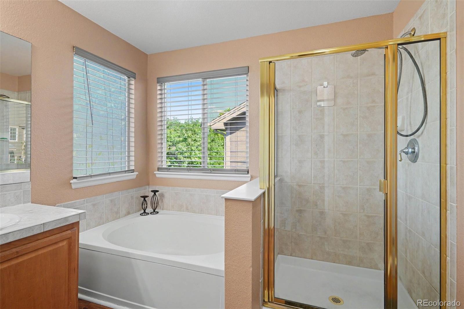 MLS Image #12 for 5632  spruce avenue,castle rock, Colorado