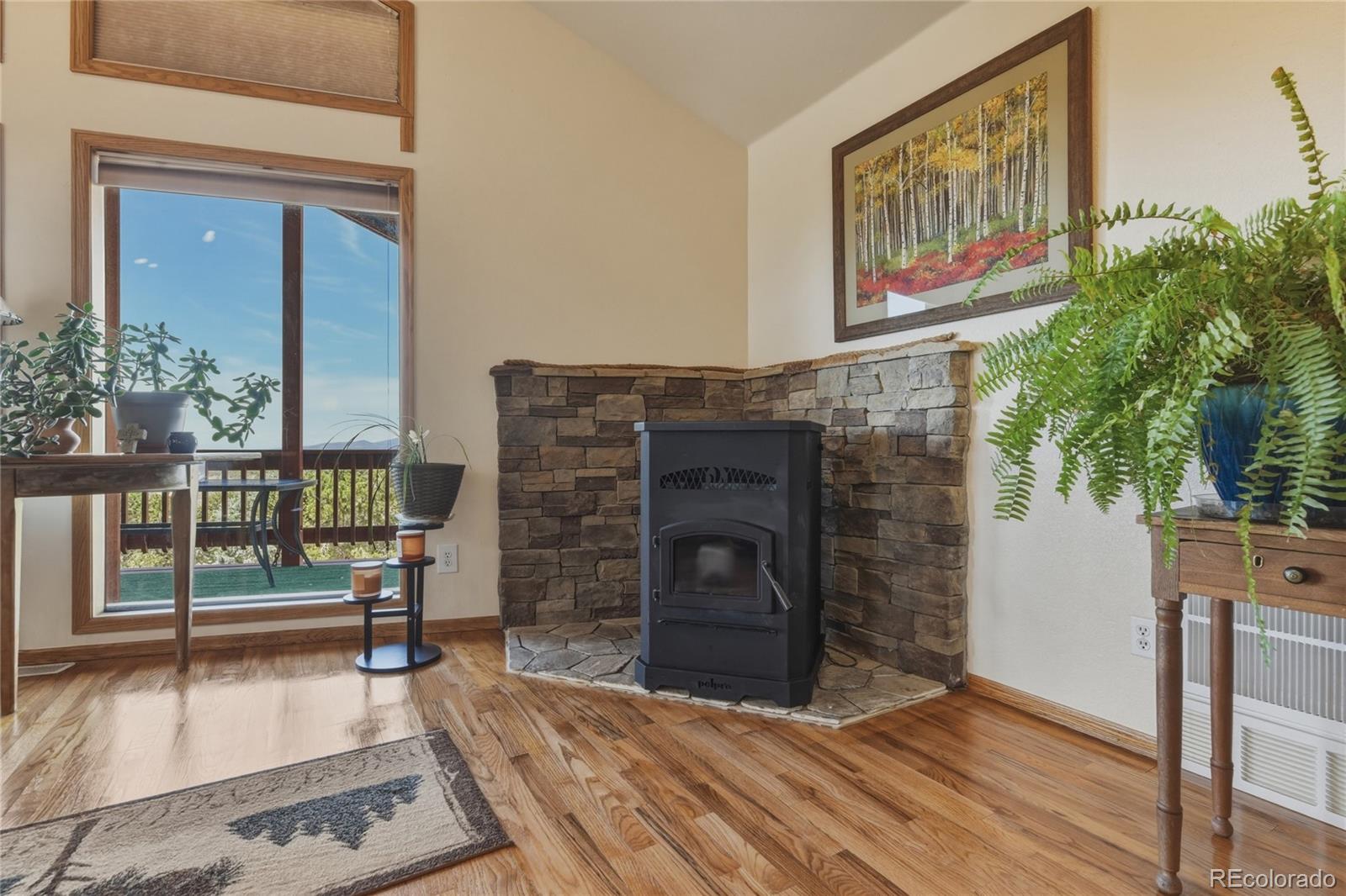 MLS Image #15 for 7002  valerie road,fort garland, Colorado
