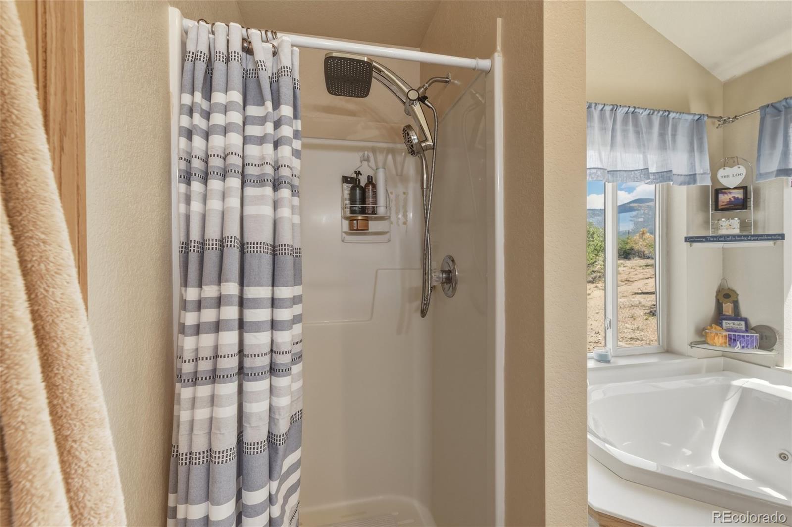 MLS Image #21 for 7002  valerie road,fort garland, Colorado