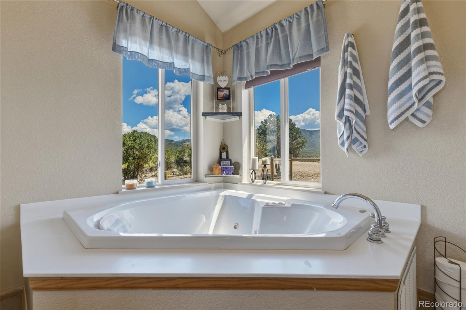 MLS Image #22 for 7002  valerie road,fort garland, Colorado