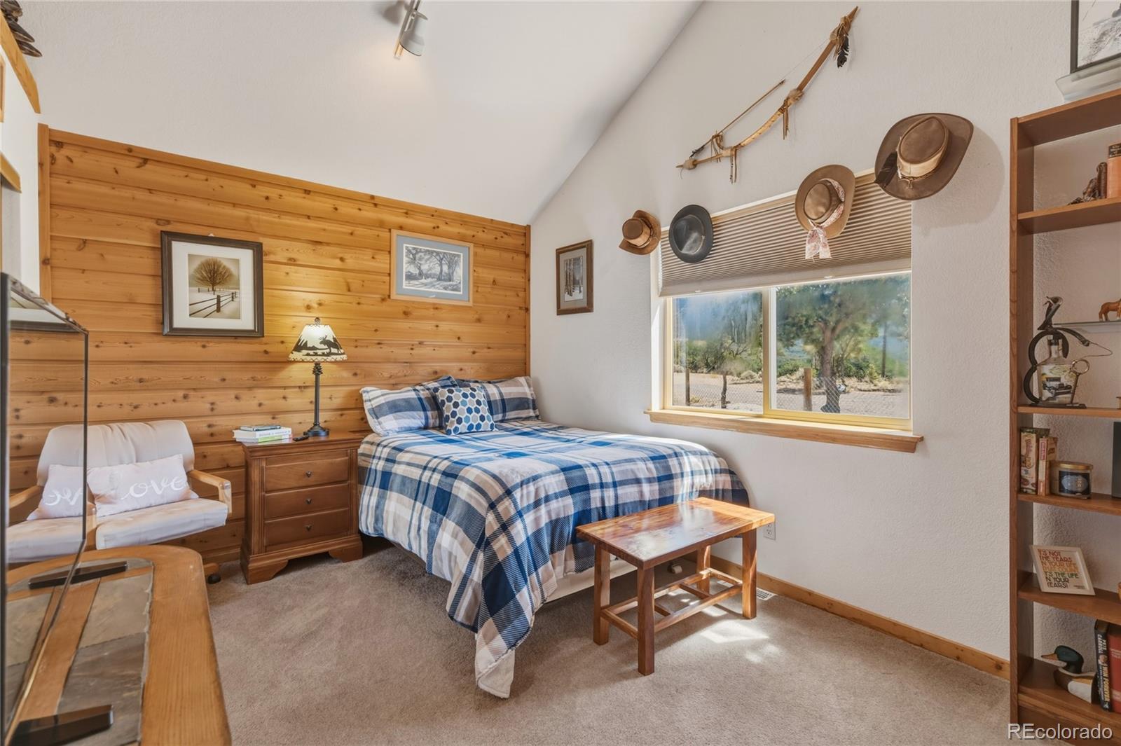 MLS Image #23 for 7002  valerie road,fort garland, Colorado