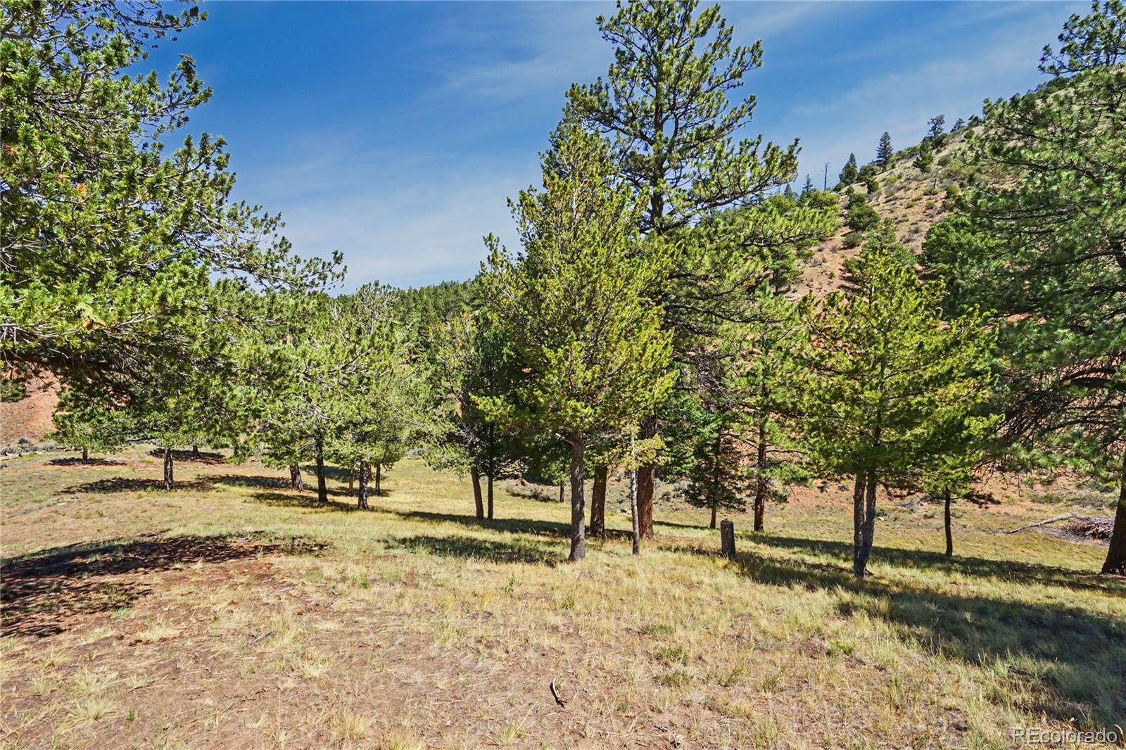 MLS Image #23 for 1261  schierl road,fort garland, Colorado