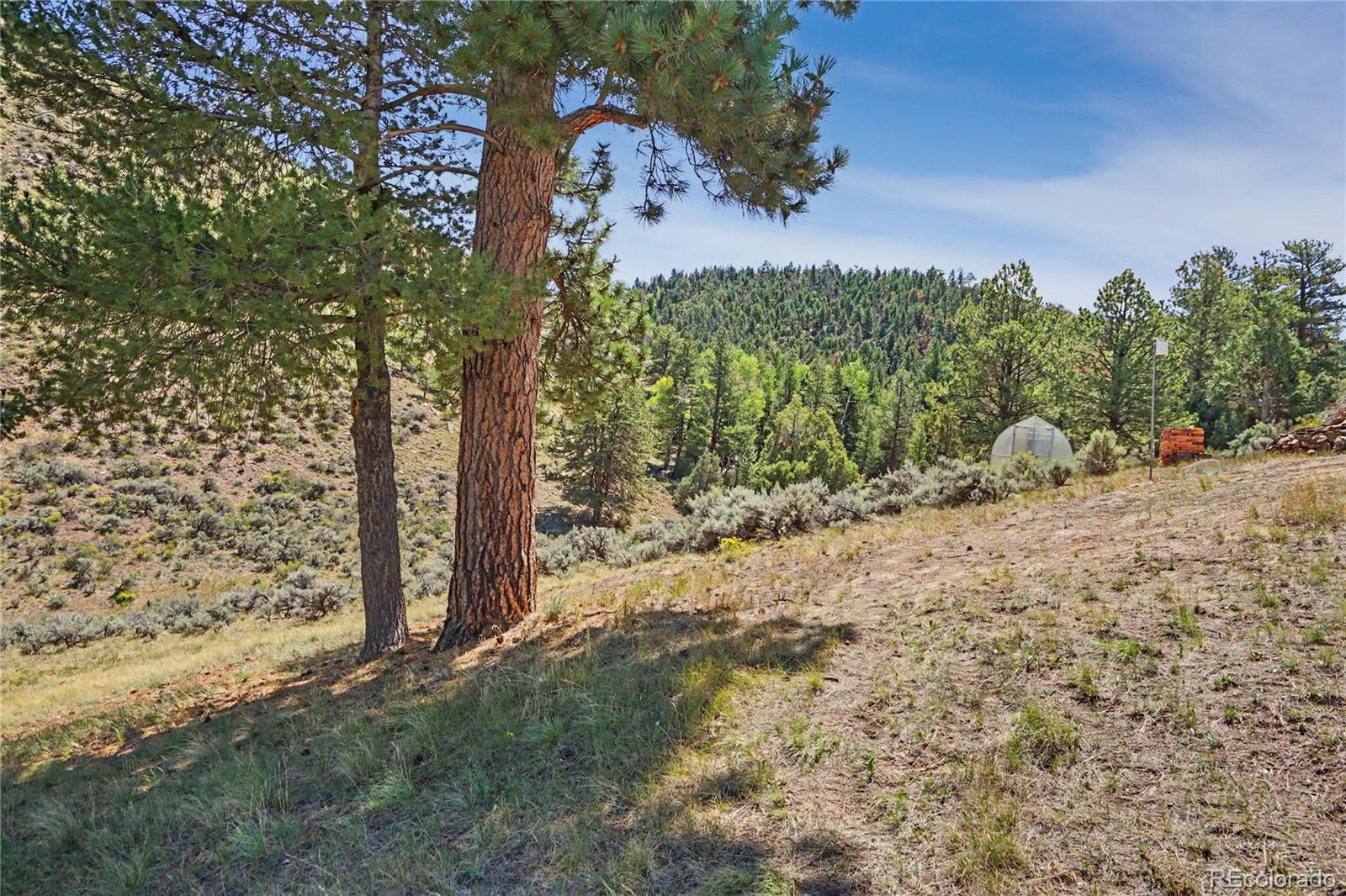 MLS Image #24 for 1261  schierl road,fort garland, Colorado