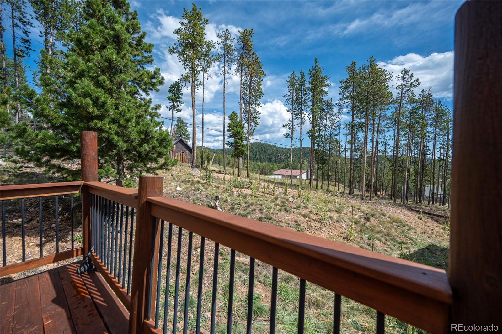 MLS Image #35 for 721  aspen way,evergreen, Colorado