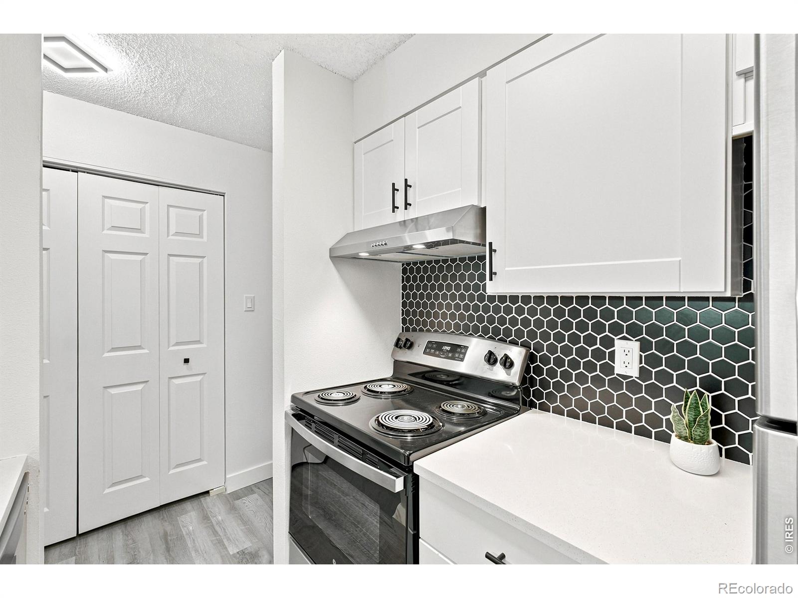 MLS Image #7 for 50 e highline circle,centennial, Colorado