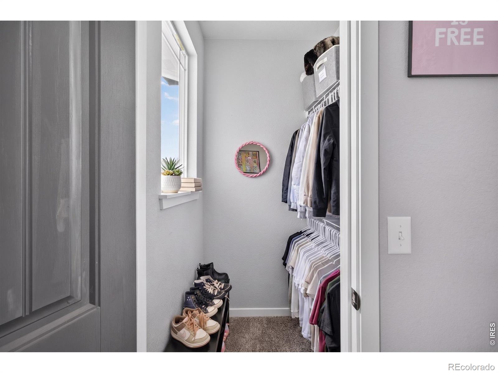 MLS Image #13 for 1334  sage drive,eaton, Colorado