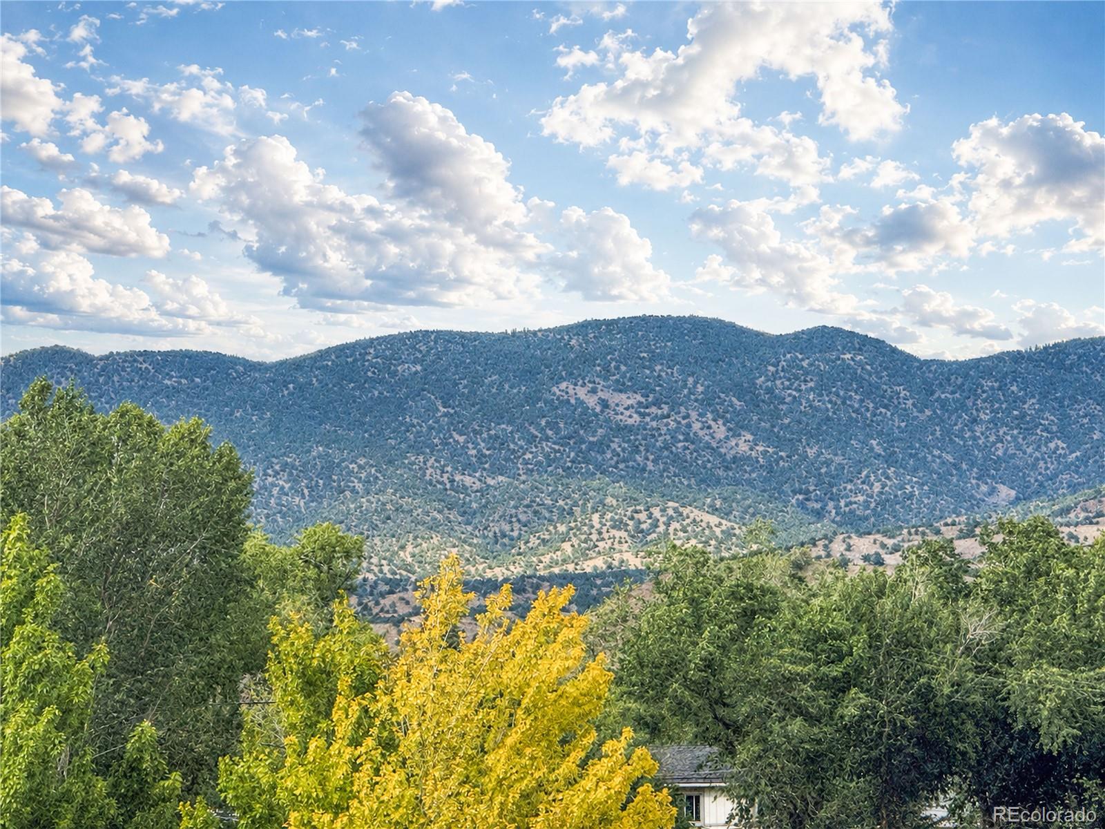 MLS Image #4 for 102  m and m lane,salida, Colorado