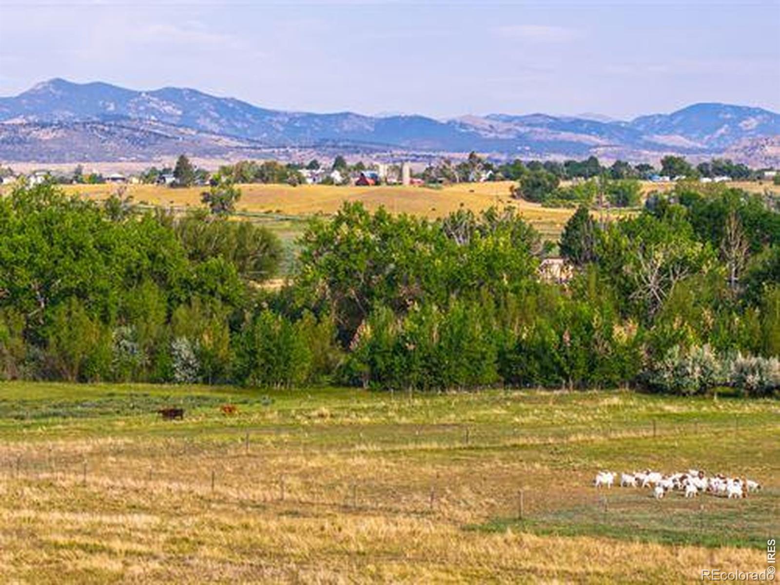 MLS Image #6 for 2525 w county road 4 ,berthoud, Colorado