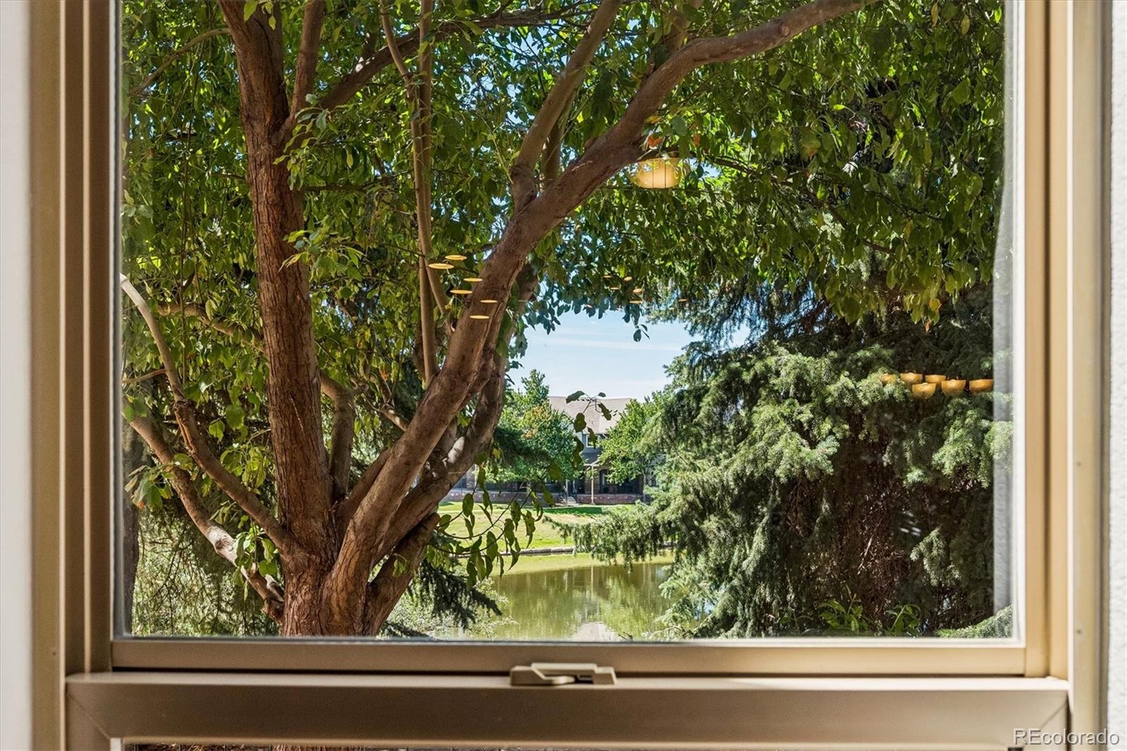 MLS Image #4 for 8966 e nichols place,centennial, Colorado