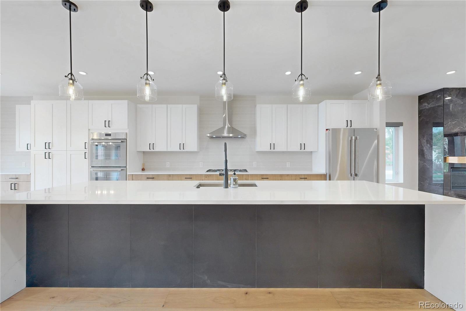 MLS Image #4 for 2403 s franklin ,denver, Colorado
