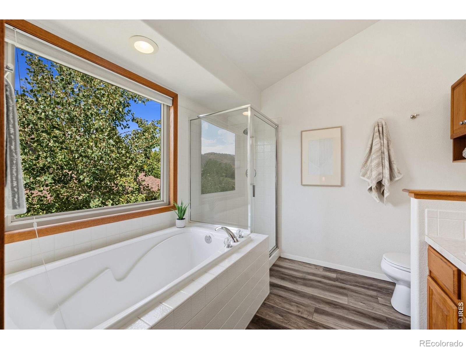 MLS Image #15 for 3403  coneflower drive,fort collins, Colorado