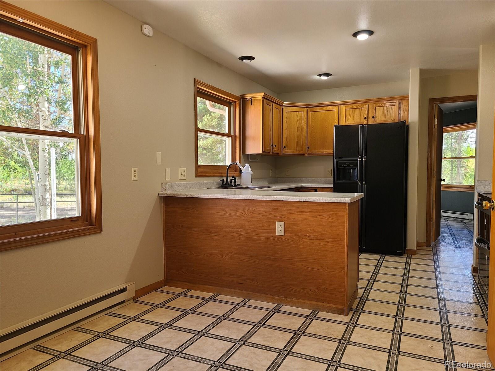 MLS Image #11 for 757  thompson park road,fairplay, Colorado