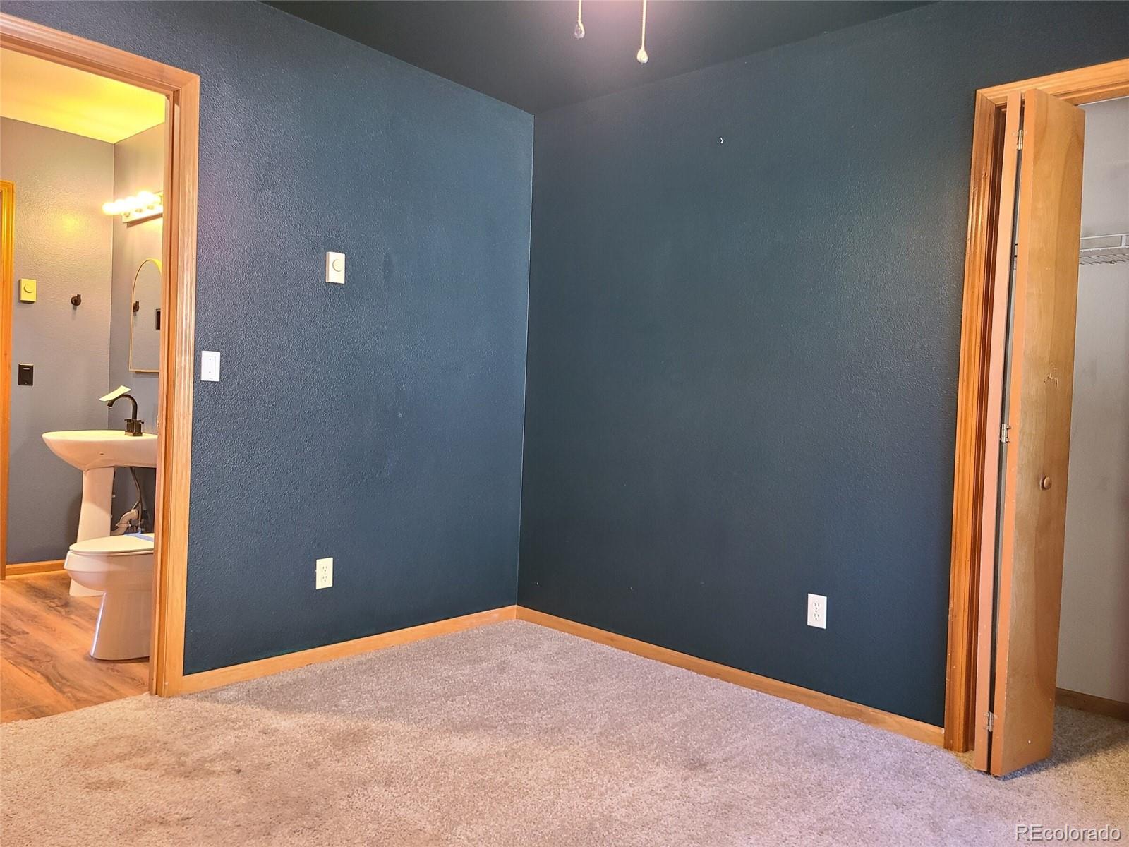 MLS Image #15 for 757  thompson park road,fairplay, Colorado