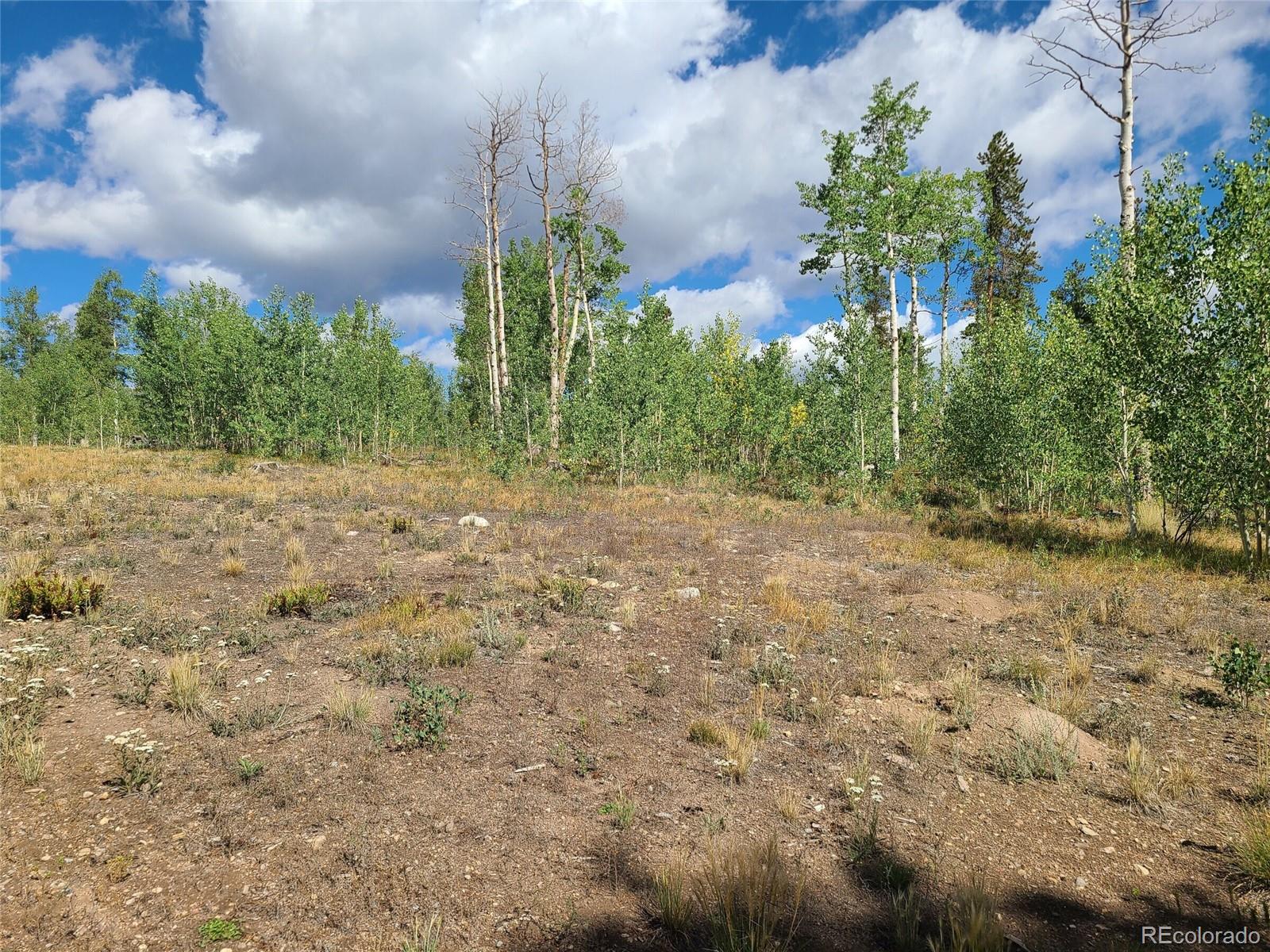 MLS Image #18 for 757  thompson park road,fairplay, Colorado