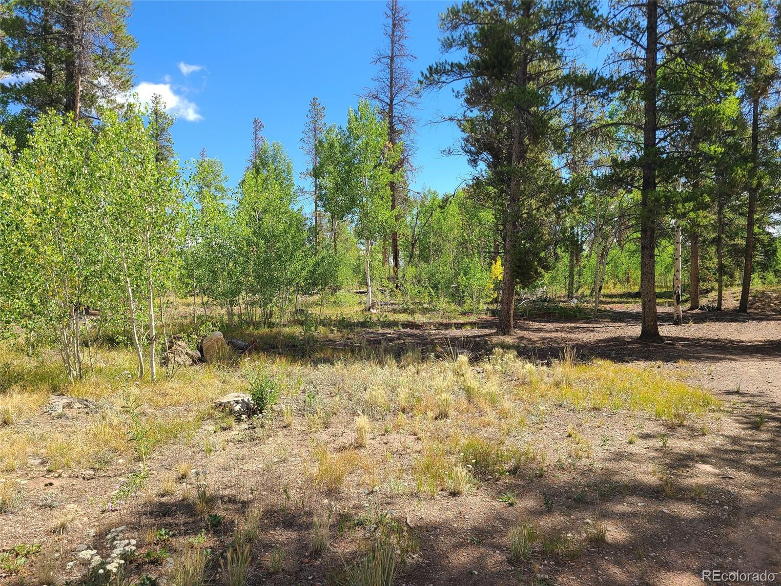 MLS Image #20 for 757  thompson park road,fairplay, Colorado