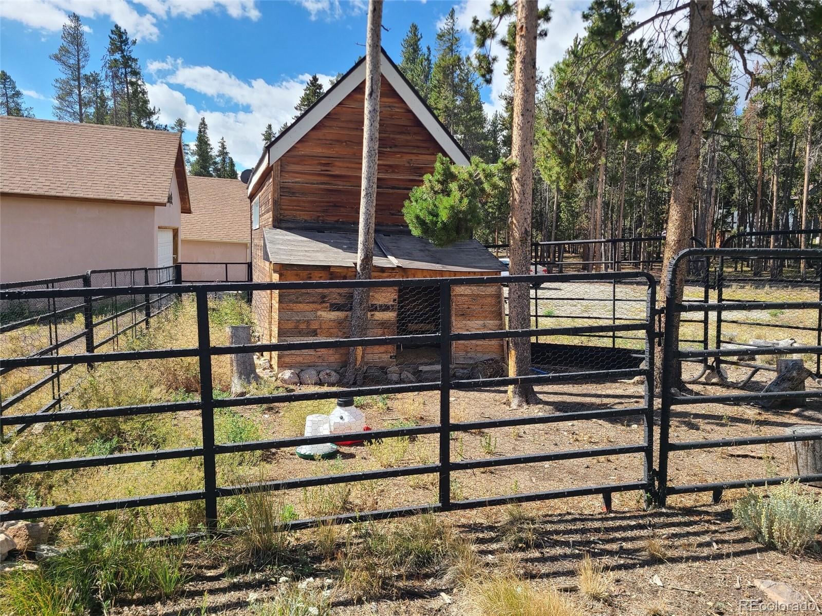 MLS Image #21 for 757  thompson park road,fairplay, Colorado