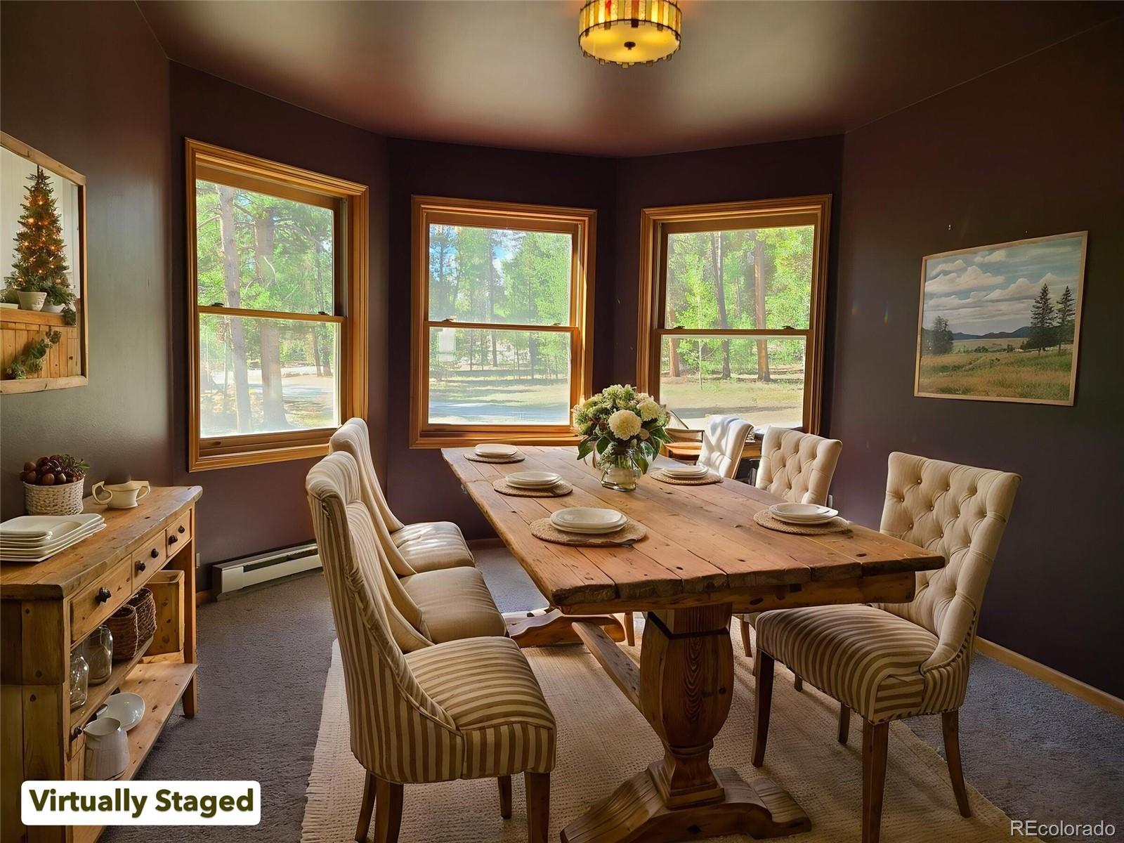 MLS Image #3 for 757  thompson park road,fairplay, Colorado