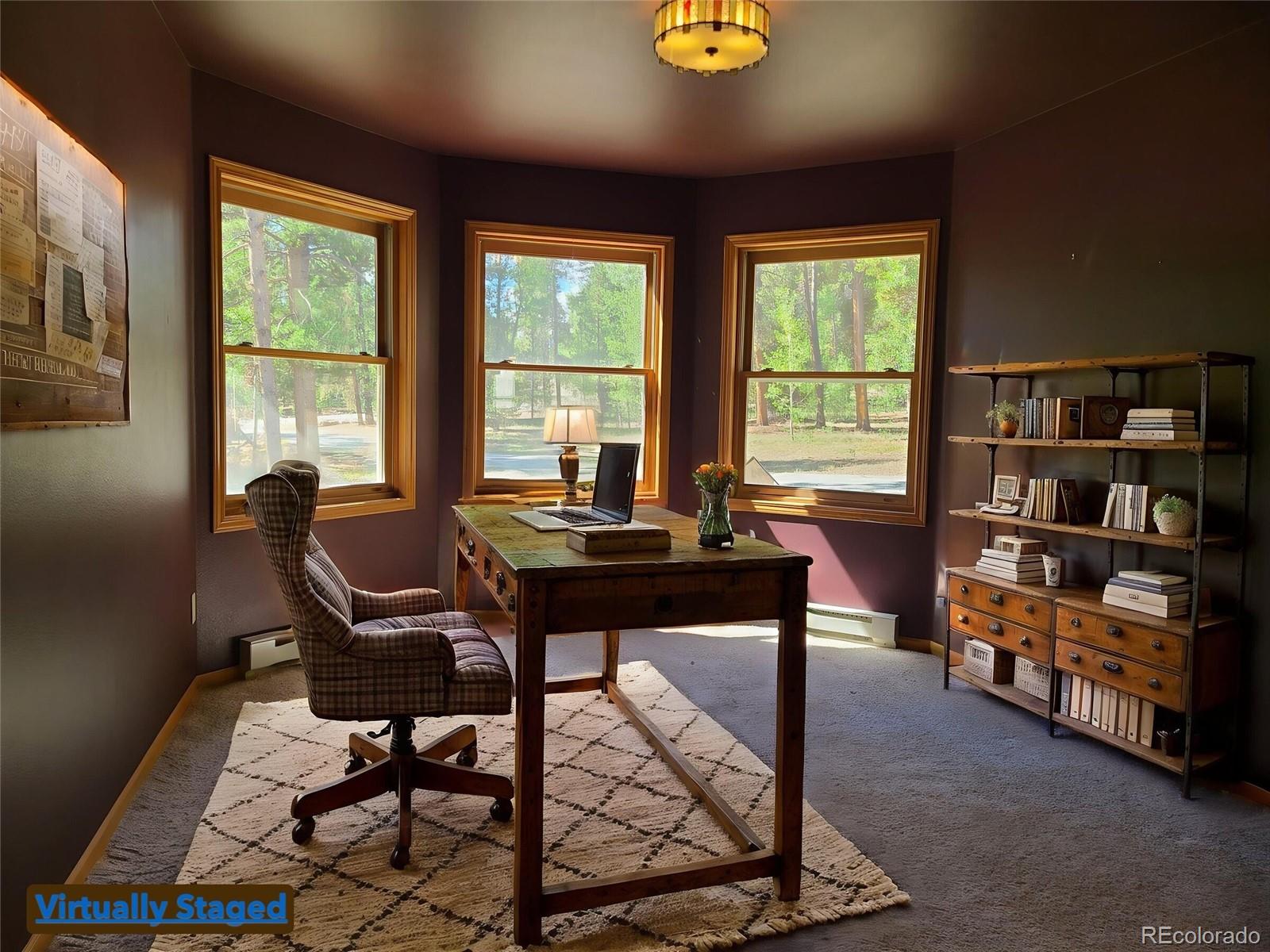 MLS Image #4 for 757  thompson park road,fairplay, Colorado