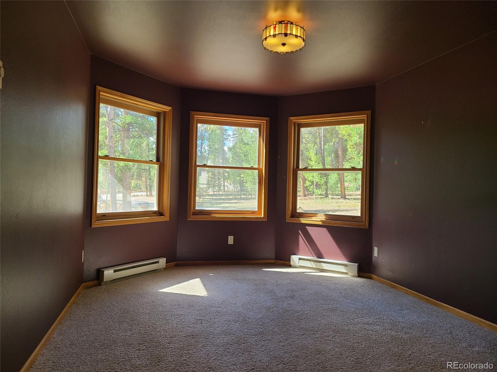 MLS Image #5 for 757  thompson park road,fairplay, Colorado