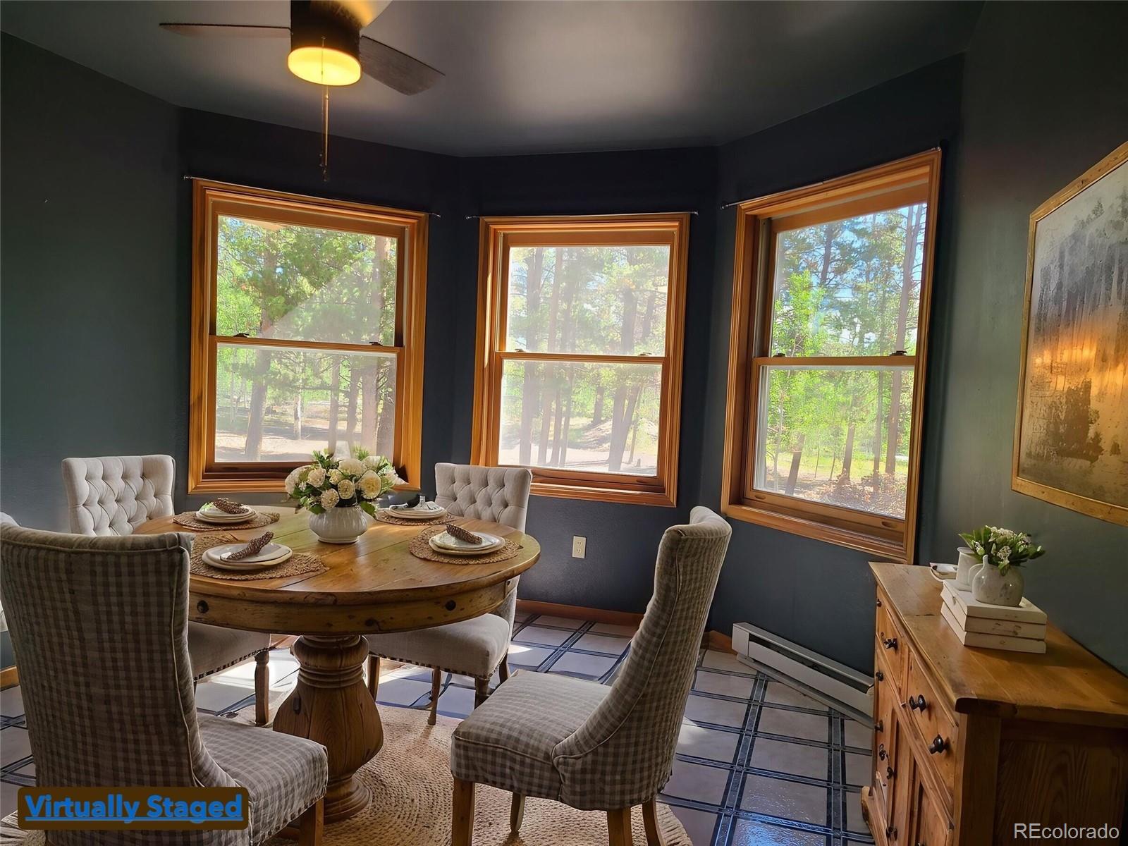 MLS Image #8 for 757  thompson park road,fairplay, Colorado