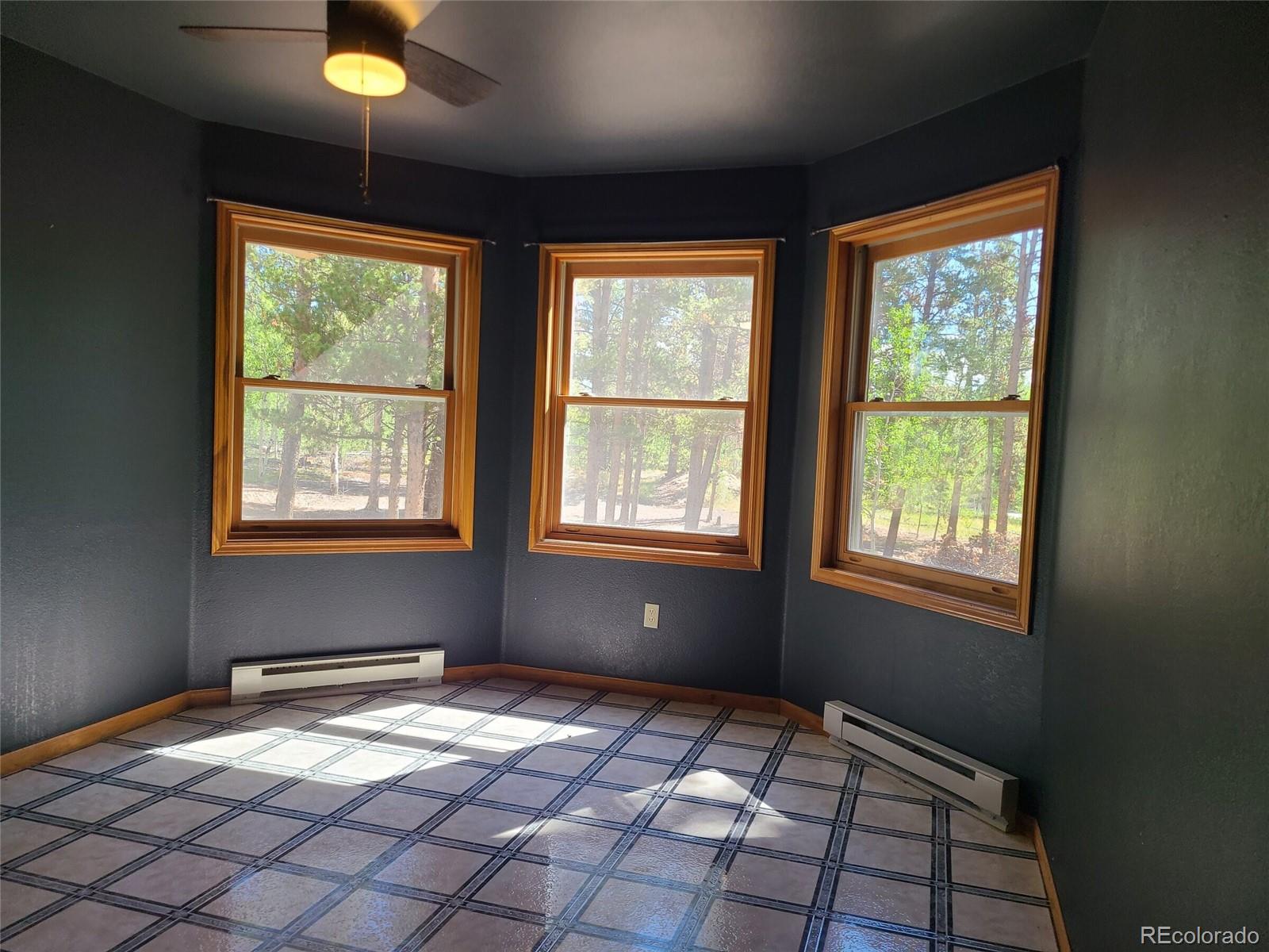 MLS Image #9 for 757  thompson park road,fairplay, Colorado