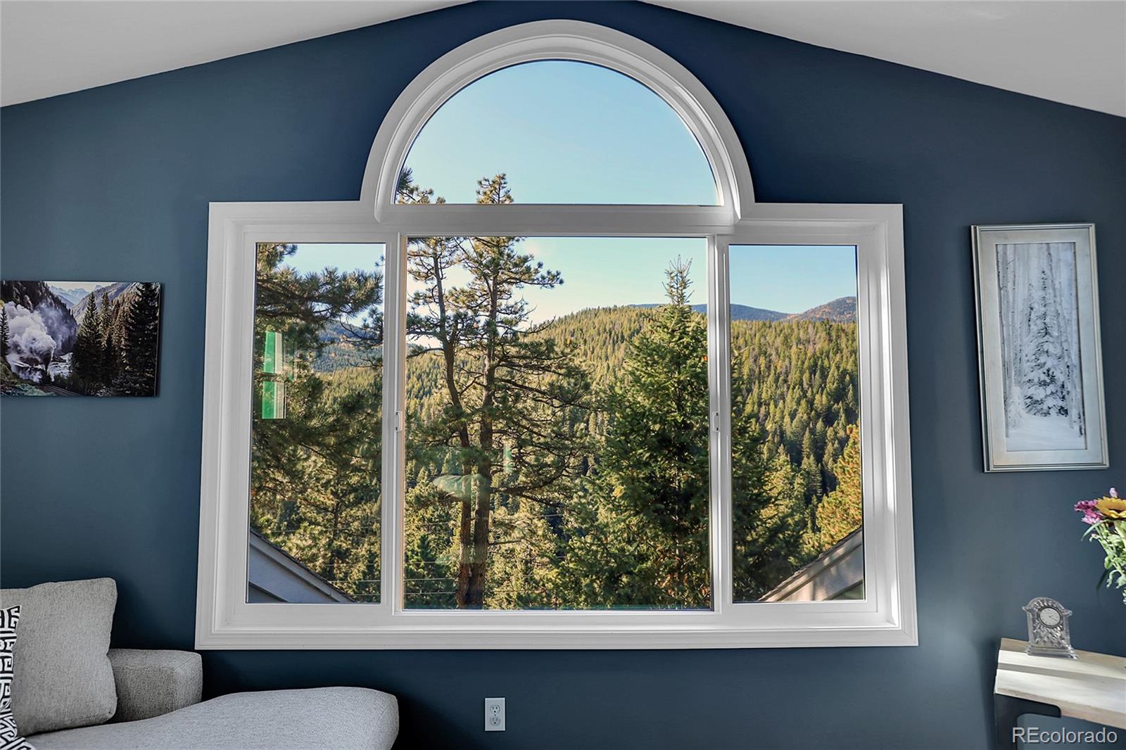 MLS Image #11 for 32857  little cub road,evergreen, Colorado