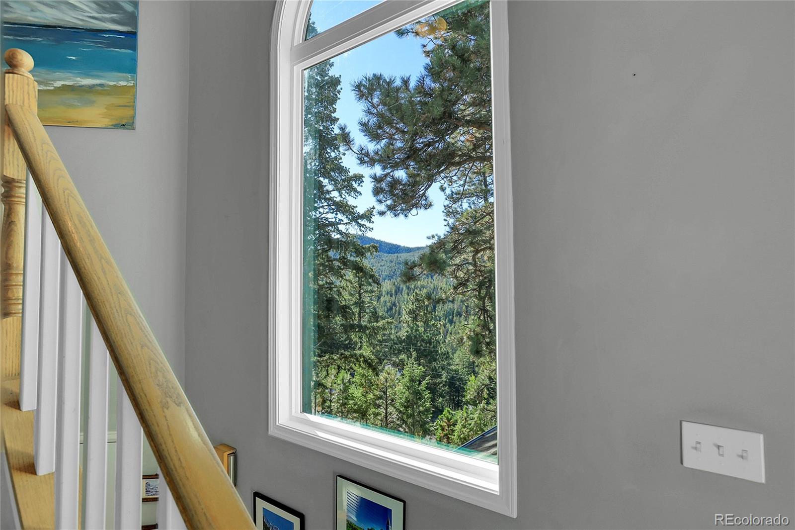 MLS Image #23 for 32857  little cub road,evergreen, Colorado