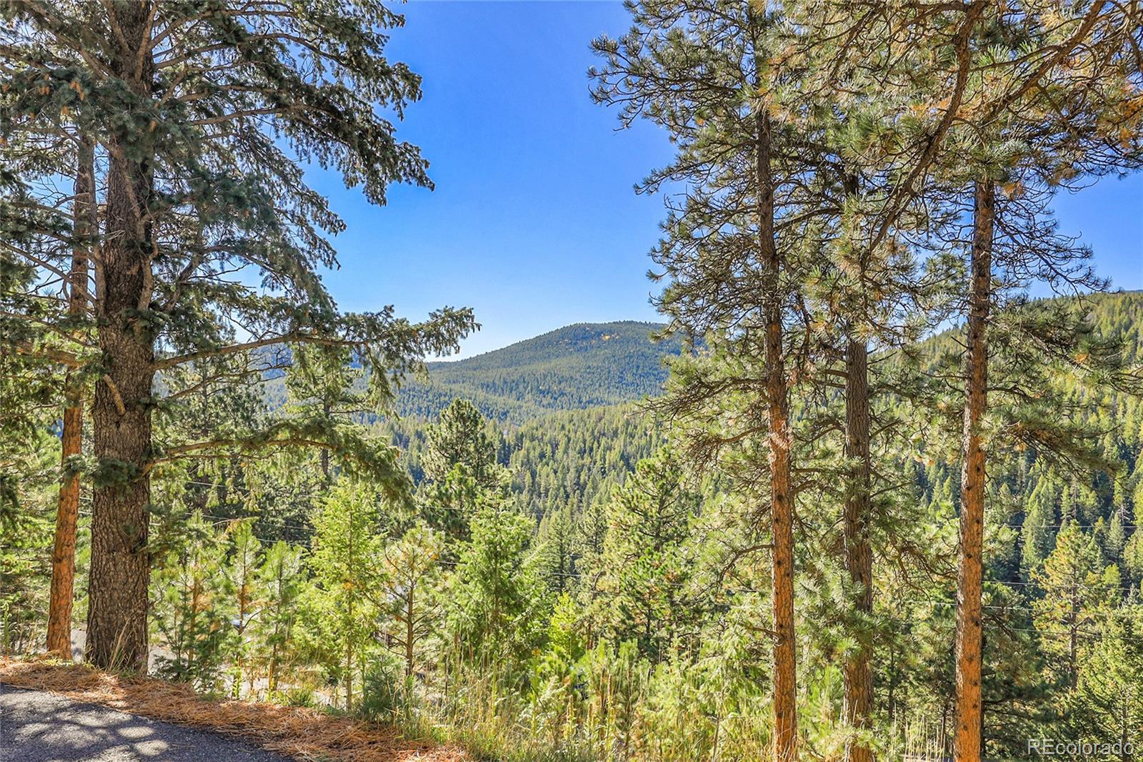 MLS Image #8 for 32857  little cub road,evergreen, Colorado