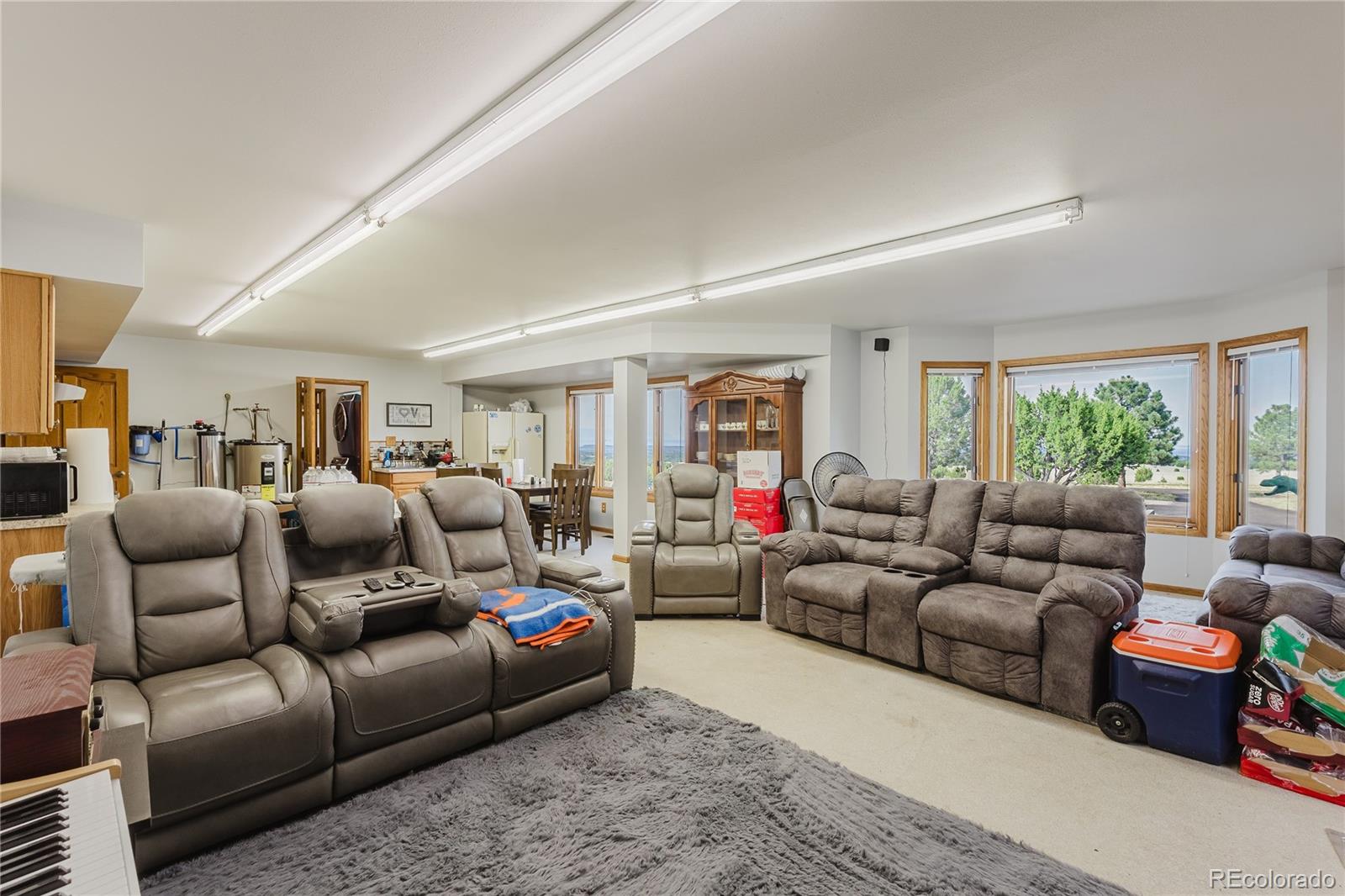 MLS Image #16 for 5400  turtle butte road,beulah, Colorado