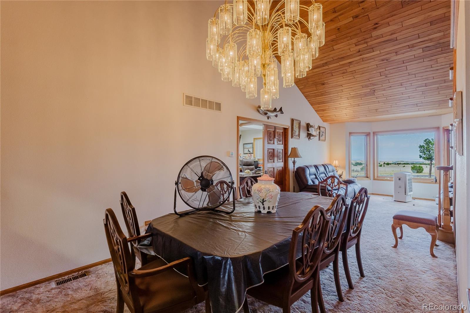 MLS Image #8 for 5400  turtle butte road,beulah, Colorado
