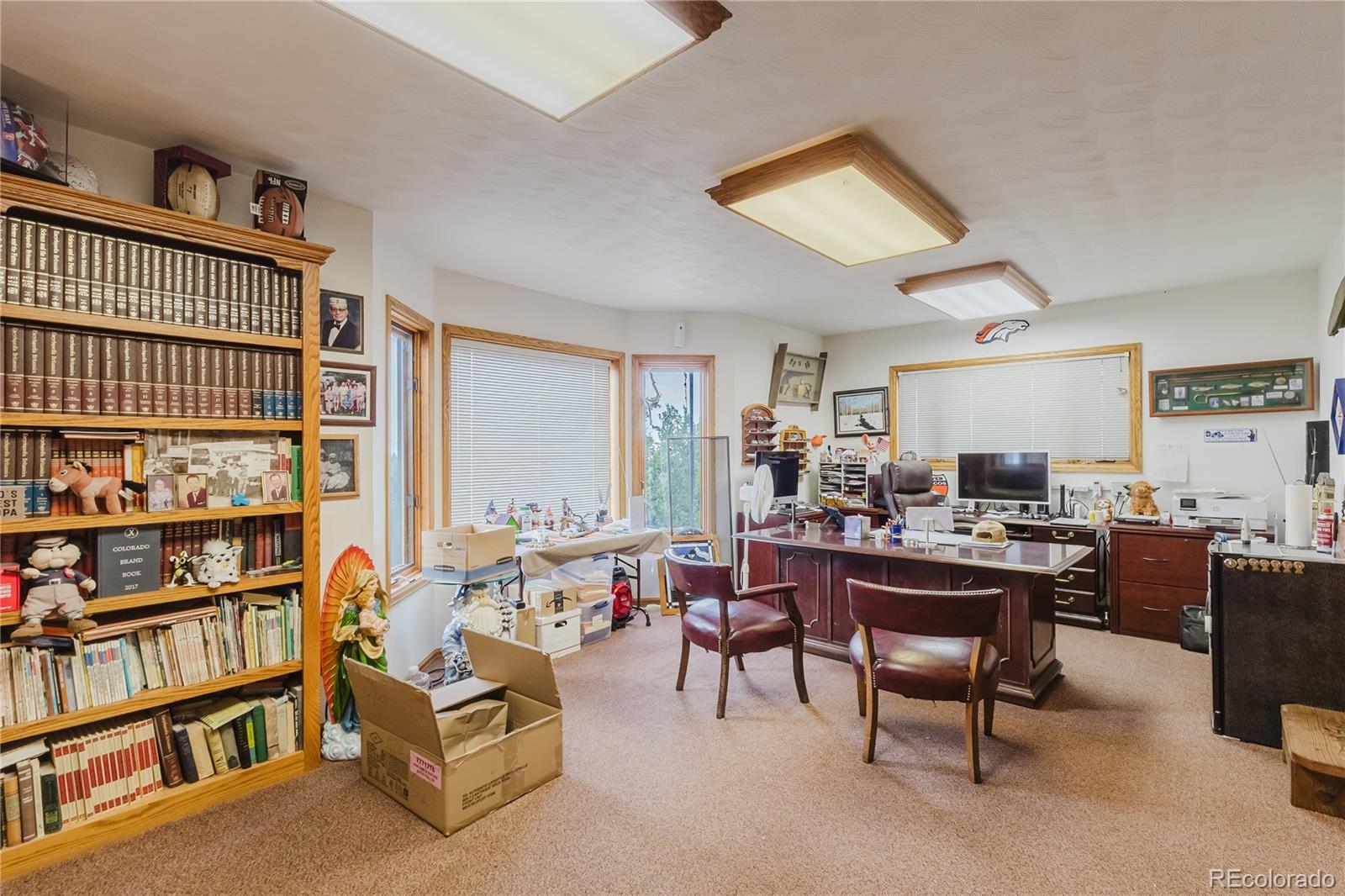 MLS Image #9 for 5400  turtle butte road,beulah, Colorado