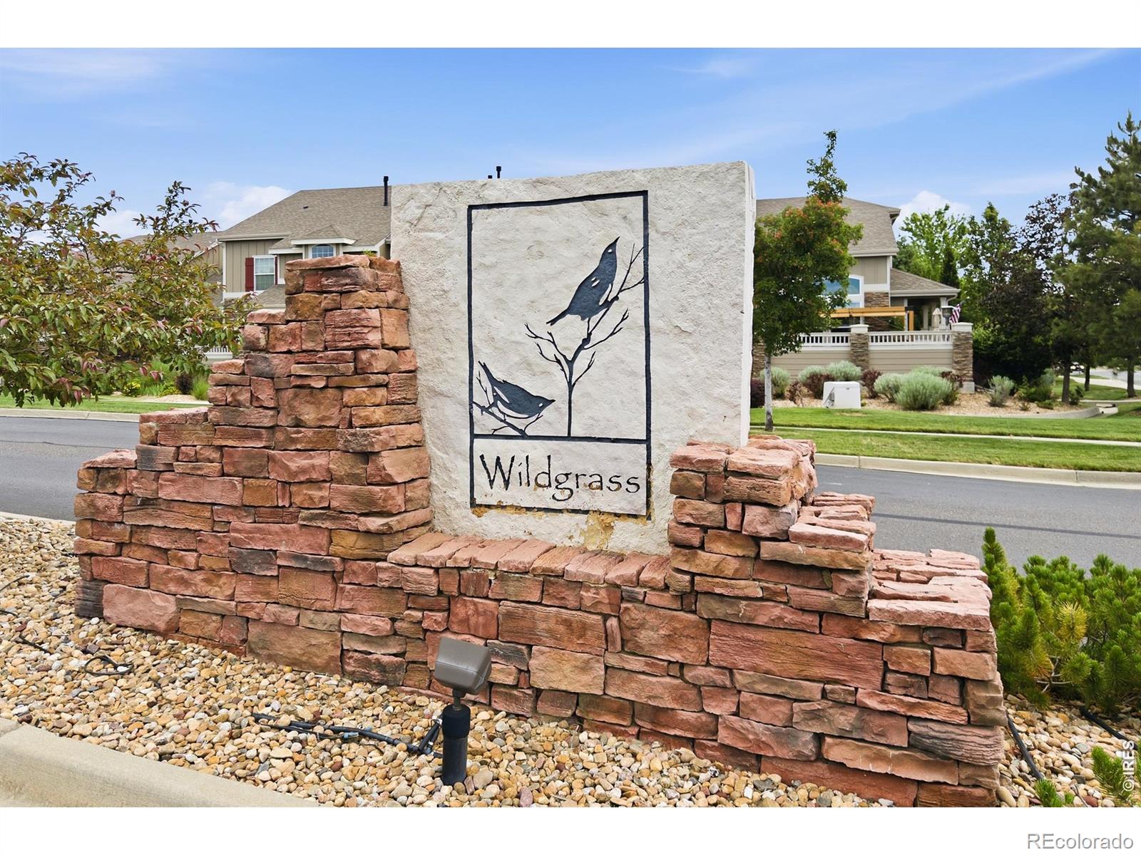 MLS Image #38 for 4706  raven run,broomfield, Colorado
