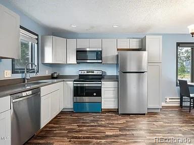MLS Image #5 for 93  doc susie avenue,fraser, Colorado