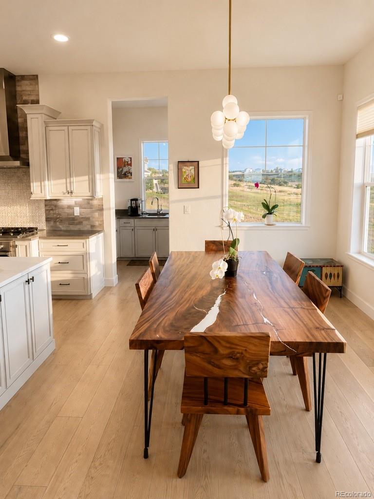 MLS Image #20 for 3221  arnica way,franktown, Colorado