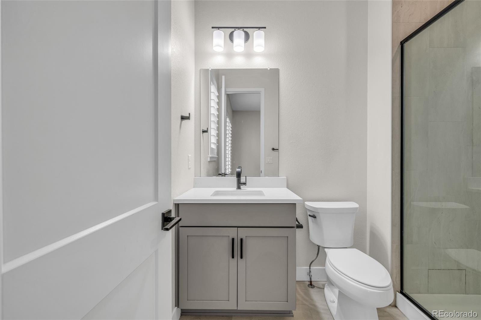 MLS Image #8 for 11384  autumn moon street,littleton, Colorado