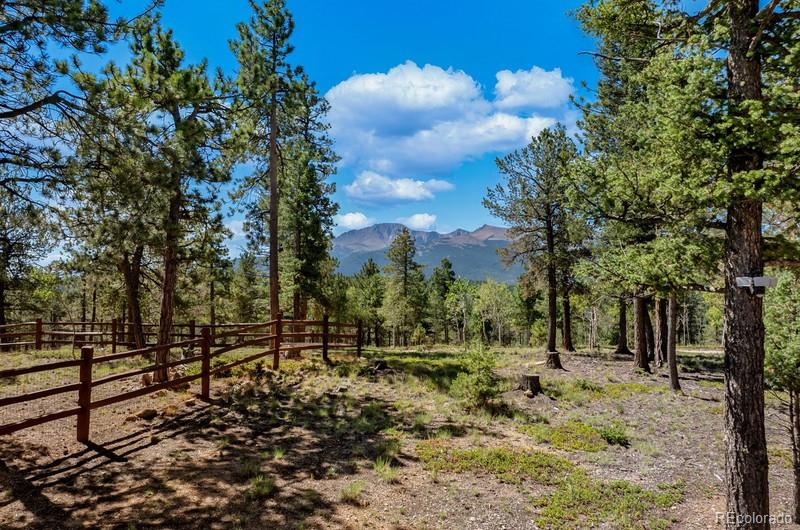 MLS Image #4 for 9  arapahoe street,woodland park, Colorado
