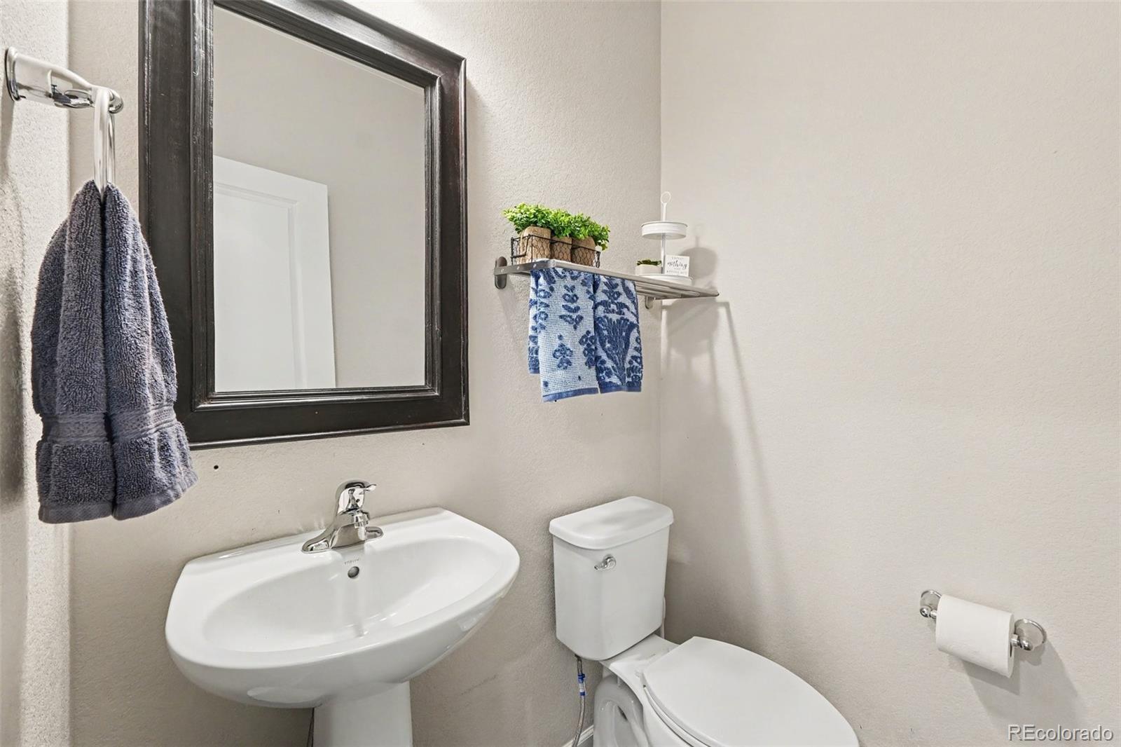 MLS Image #6 for 7229  shavano avenue,longmont, Colorado