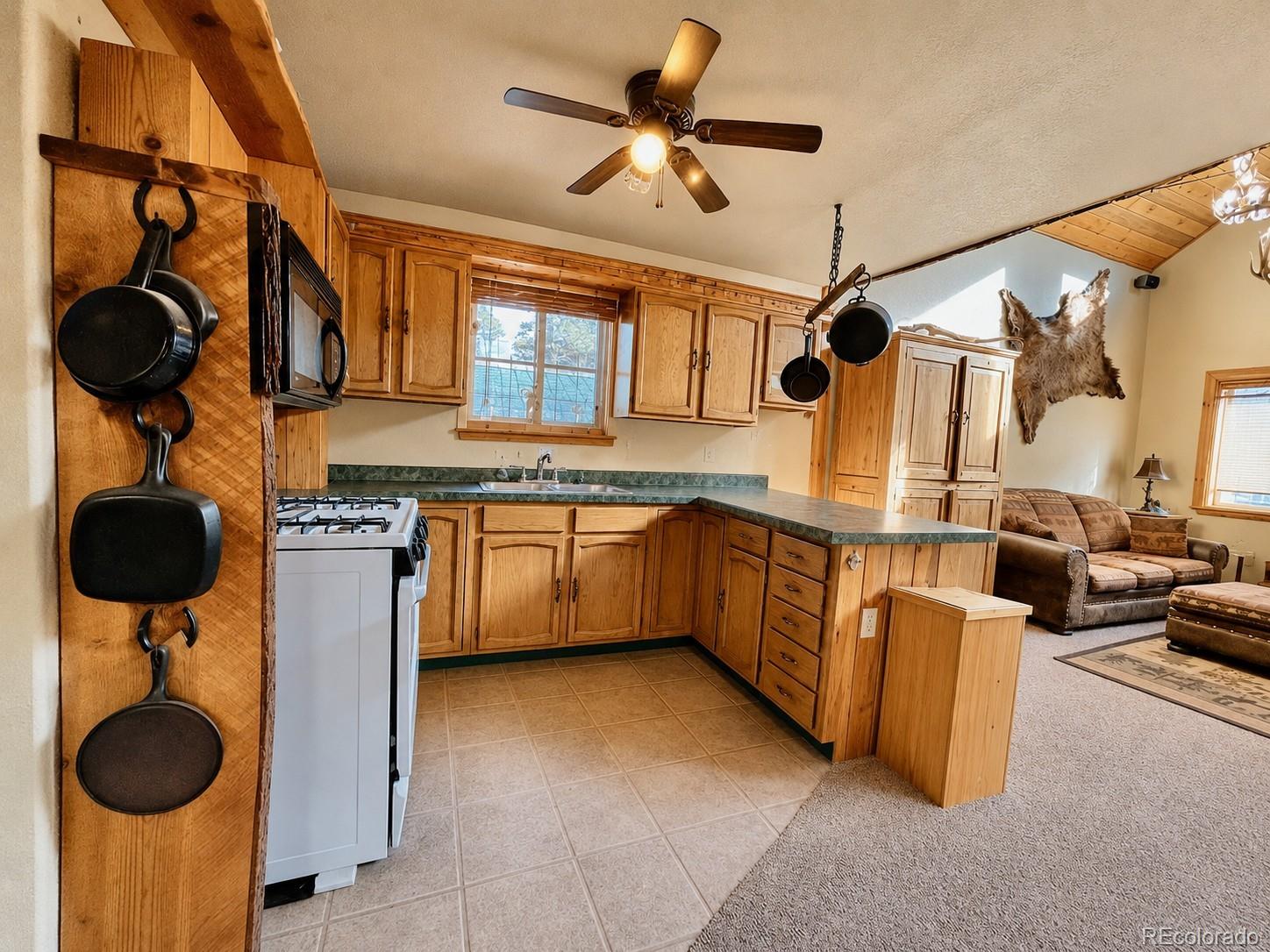 MLS Image #5 for 10401  windy ridge rd road,aguilar, Colorado