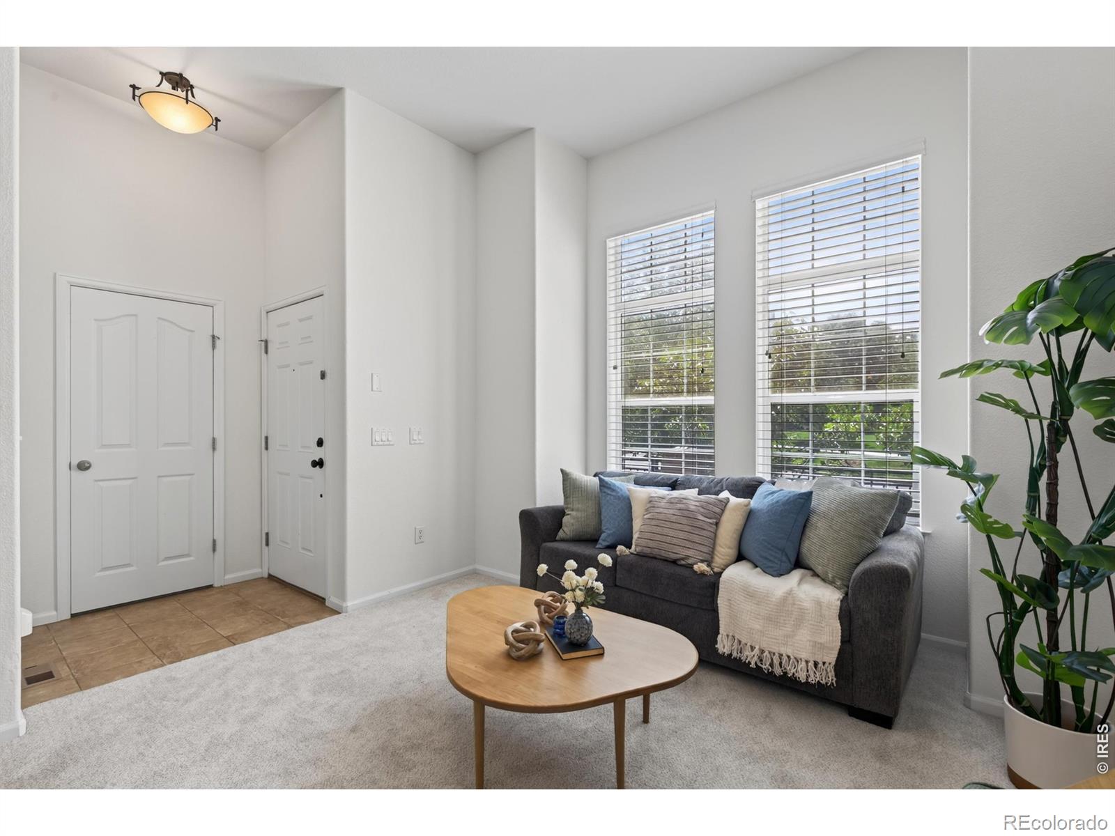 MLS Image #11 for 789  bristle pine circle,highlands ranch, Colorado