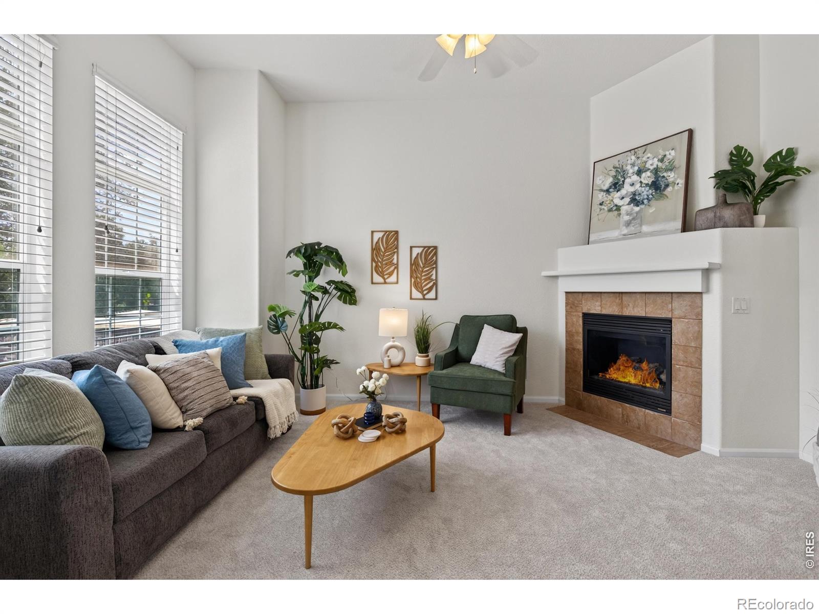 MLS Image #12 for 789  bristle pine circle,highlands ranch, Colorado