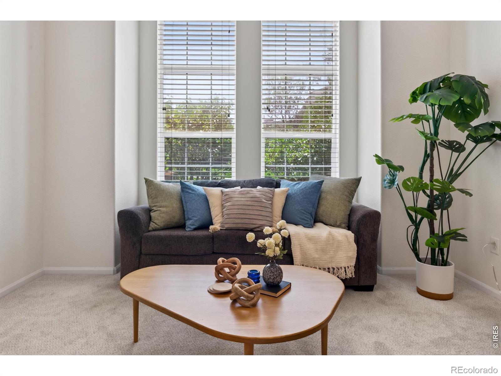 MLS Image #14 for 789  bristle pine circle,highlands ranch, Colorado