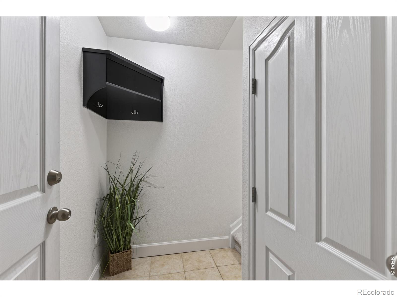 MLS Image #34 for 789  bristle pine circle,highlands ranch, Colorado