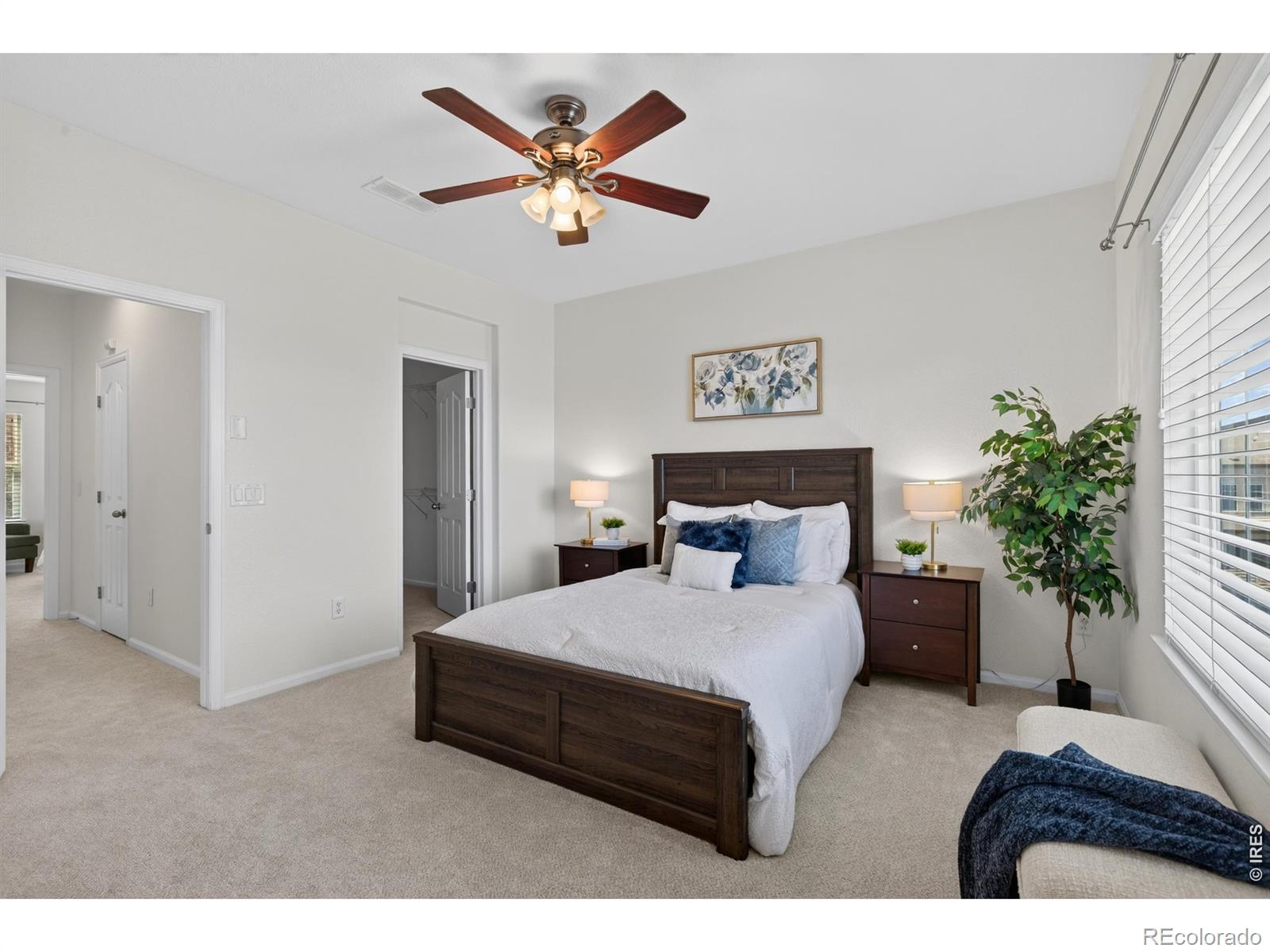 MLS Image #4 for 789  bristle pine circle,highlands ranch, Colorado