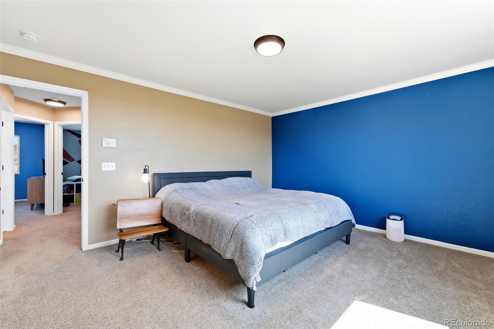 MLS Image #21 for 7105  amber ridge drive,colorado springs, Colorado