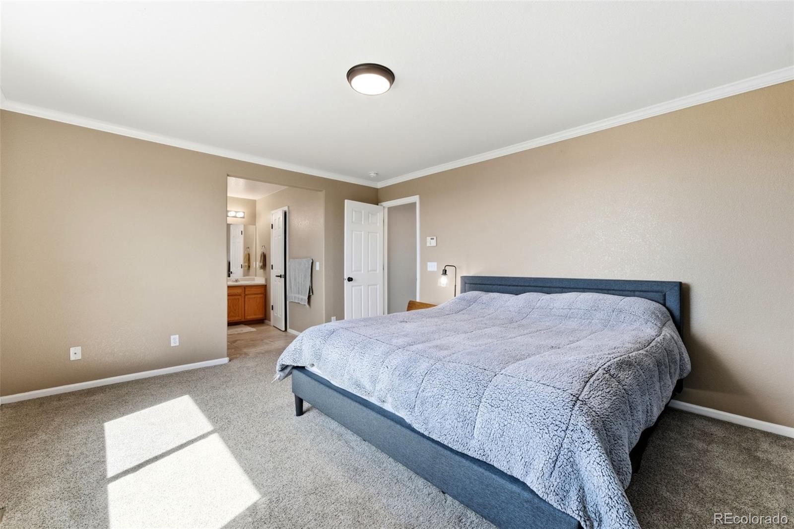 MLS Image #22 for 7105  amber ridge drive,colorado springs, Colorado