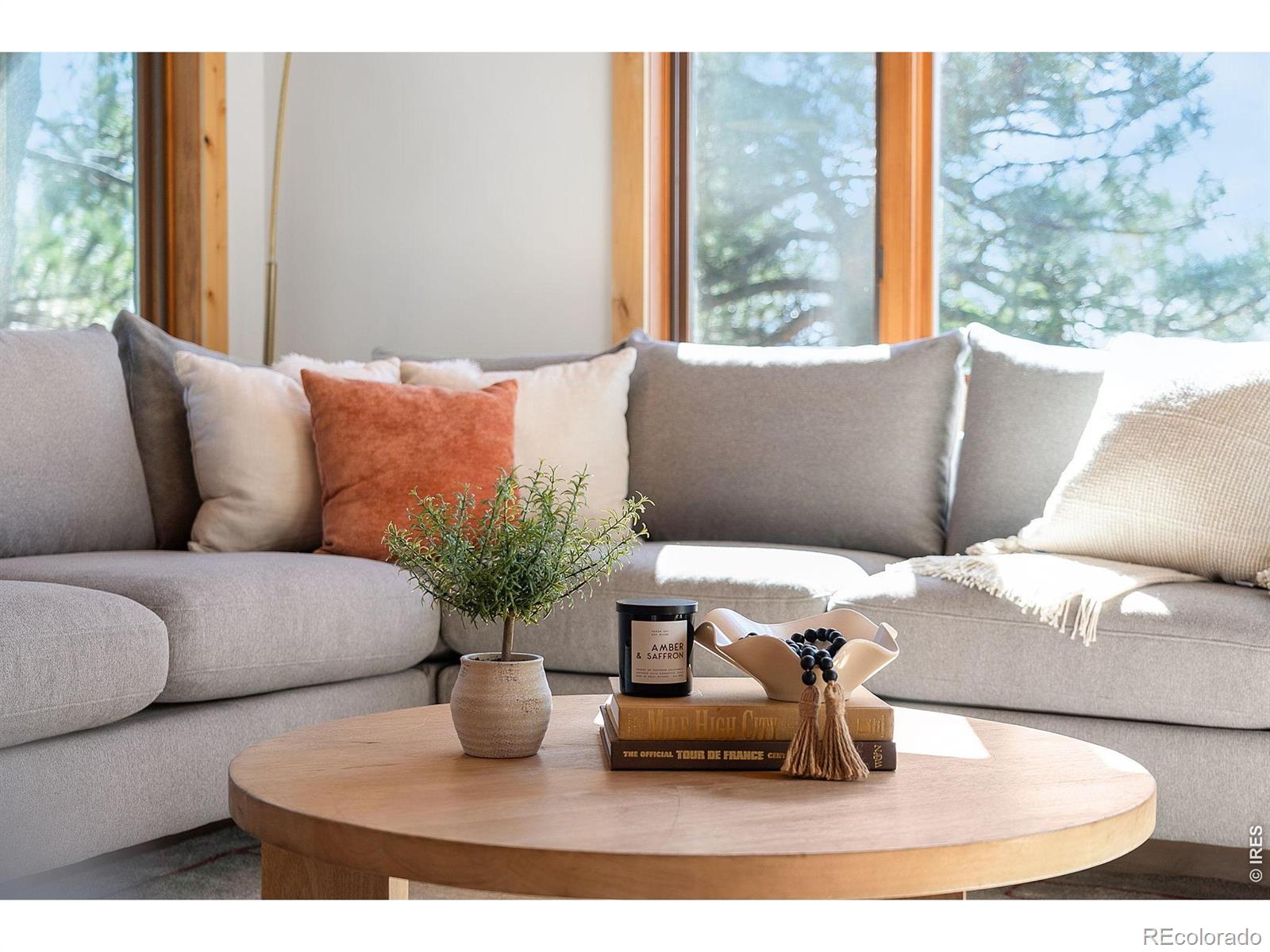 MLS Image #10 for 3725  ridge road,nederland, Colorado