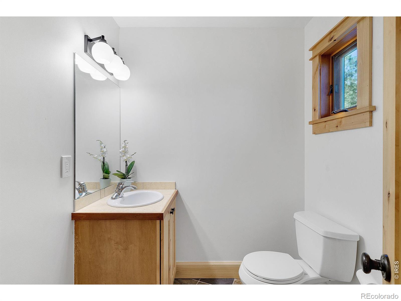 MLS Image #28 for 3725  ridge road,nederland, Colorado