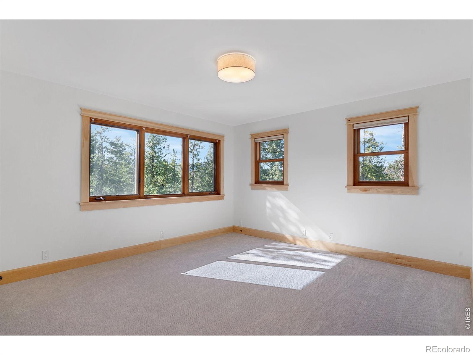 MLS Image #29 for 3725  ridge road,nederland, Colorado