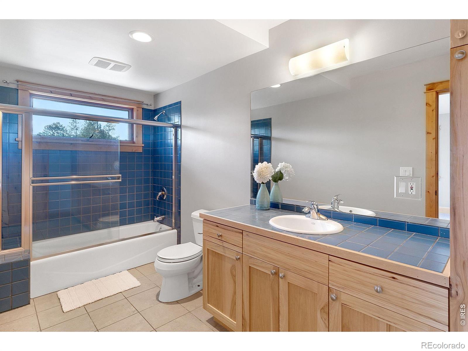 MLS Image #32 for 3725  ridge road,nederland, Colorado
