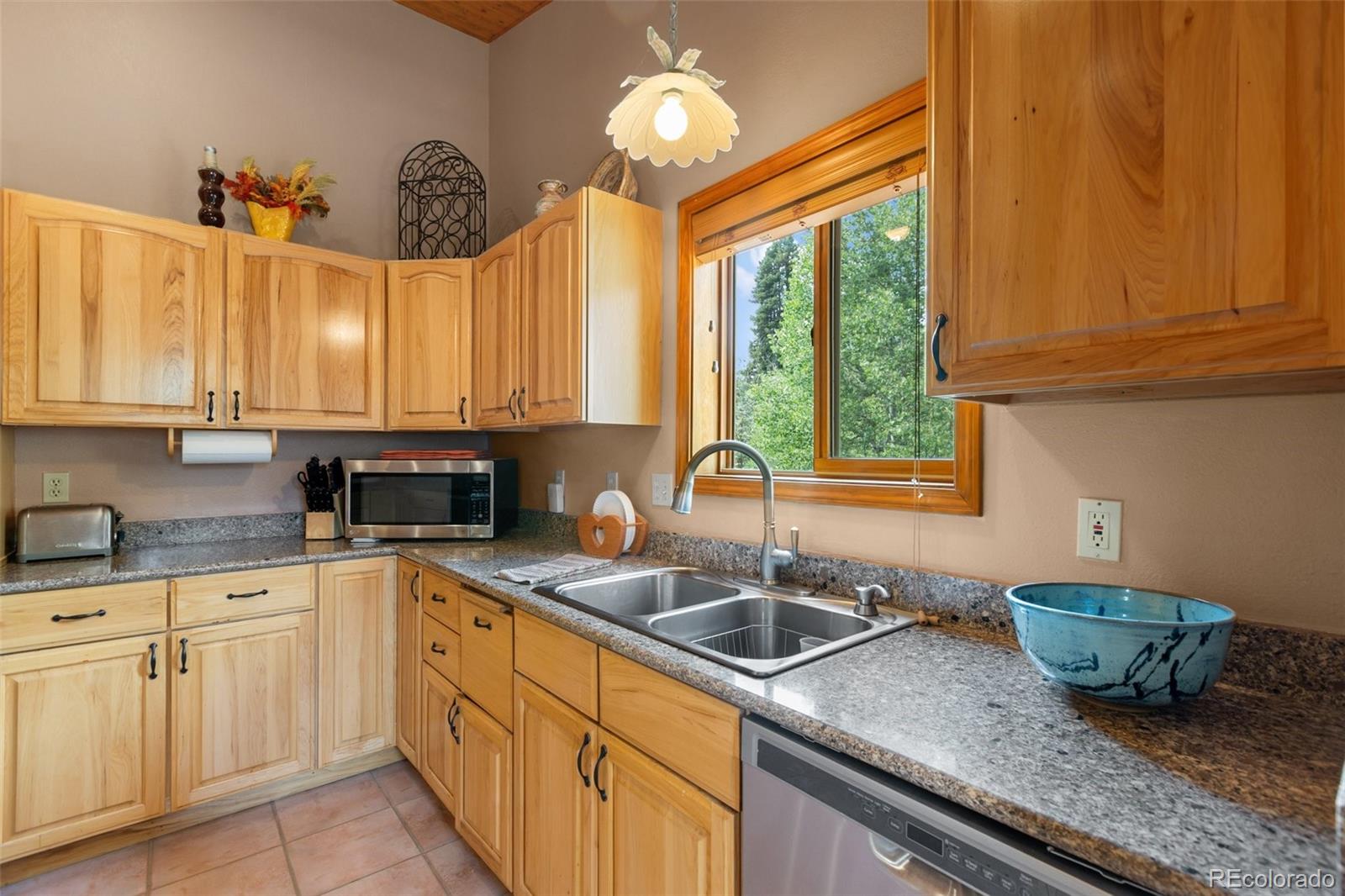 MLS Image #13 for 94  pinewood circle,divide, Colorado